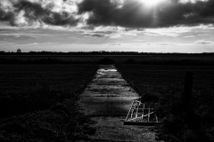 XT31326-bewerkt